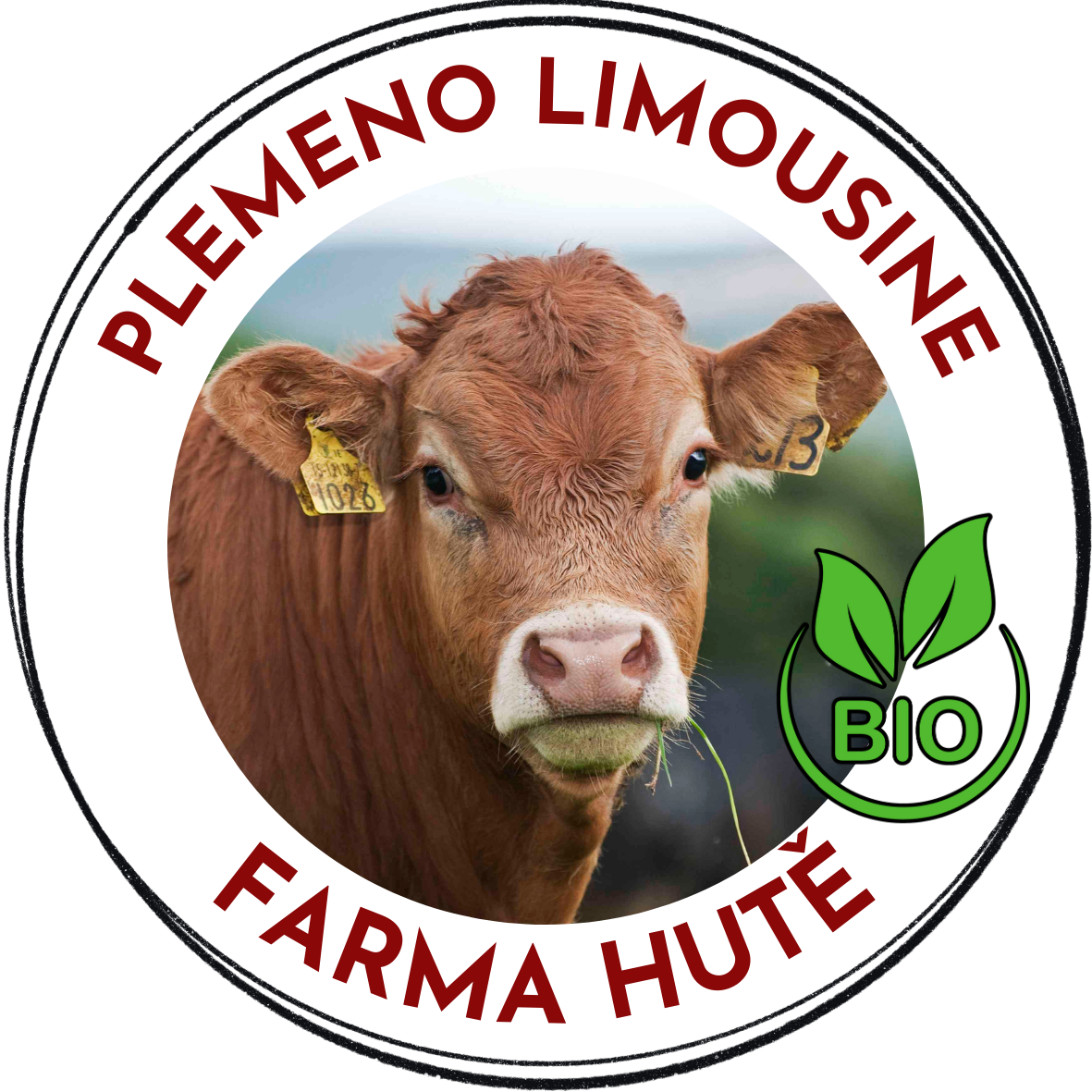 Razítko limousine